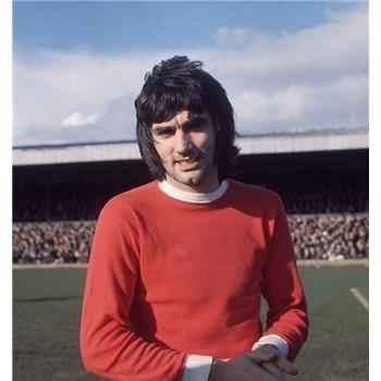 茨堡红牛的 茨堡红牛的