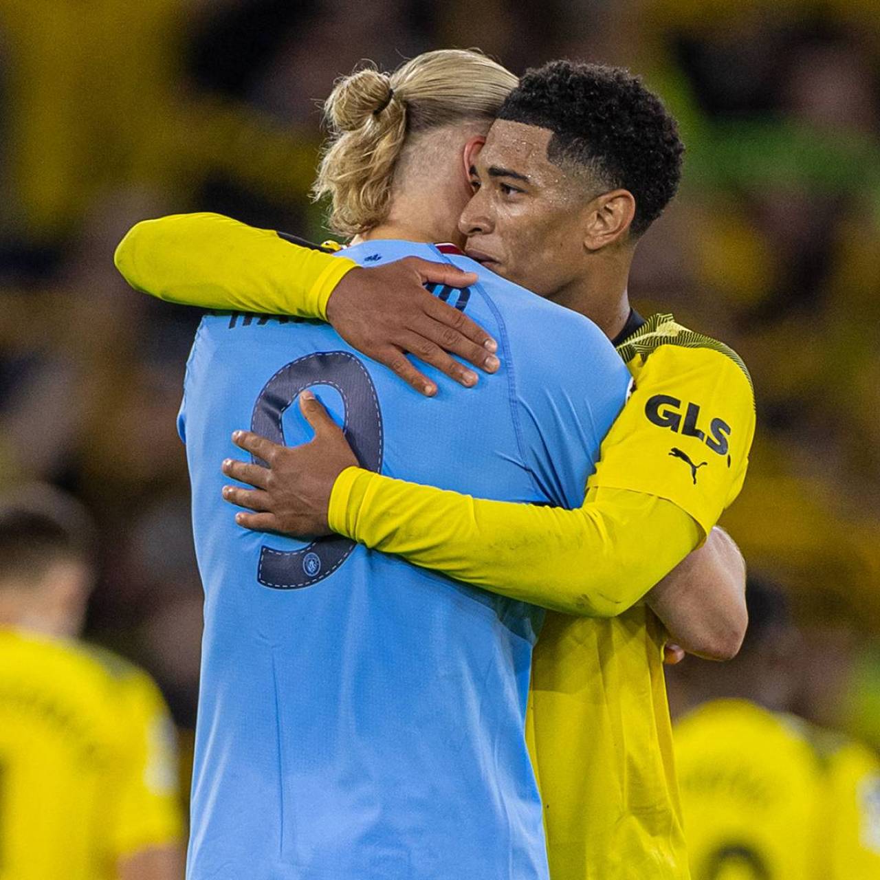 而非仅依赖 而非仅依赖