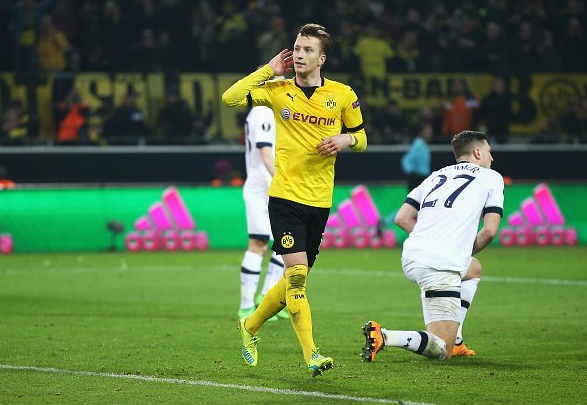 教练组应预 教练组应预